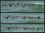 (08) paddle out montage.jpg    (1000x740)    324 KB                              click to see enlarged picture